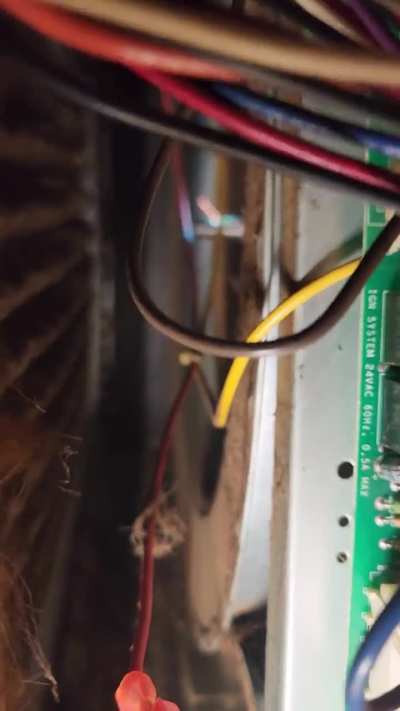 I don't think it's supposed to do that