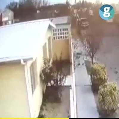 Dozens of birds perished as a result of the crash of a flock of Yellow-Headed Juniper birds in the north of Mexico.The cause is unknown.