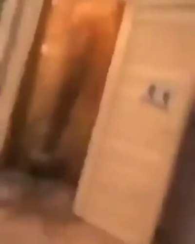 Citadel HQ, after crashing the stock in January only for apes to keep buying