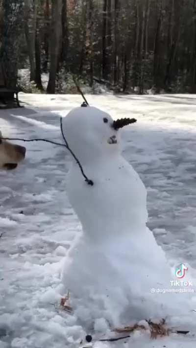 Stella destroys the world