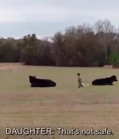 Emily and mom are no fun