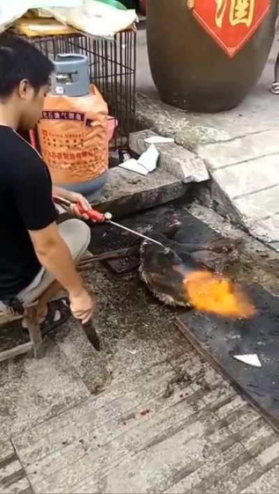 ⚠️ WARNING ⚠️.. Chinese man burns dog alive NSFW NSFL