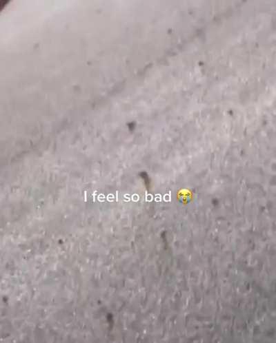 &ldquo;Im too anxious&rdquo; 😭😭