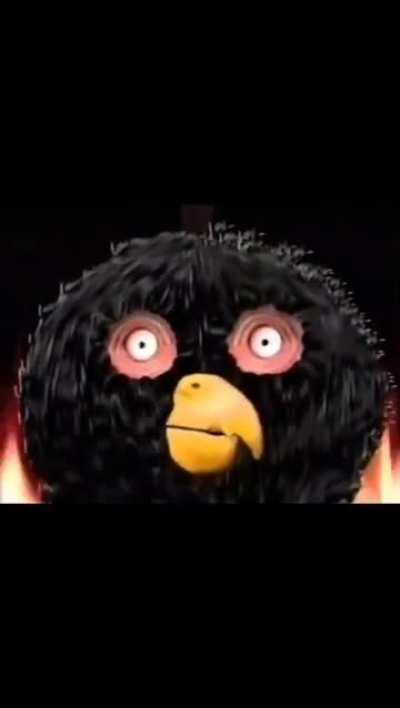 Mad flying creatures