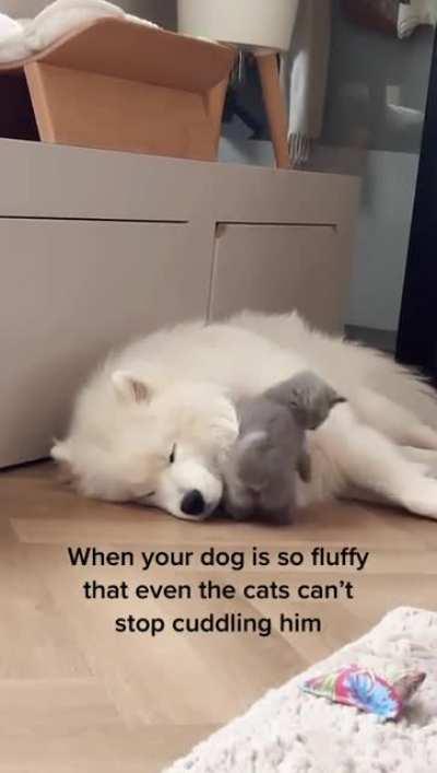 Little cozy, meet big cozy.