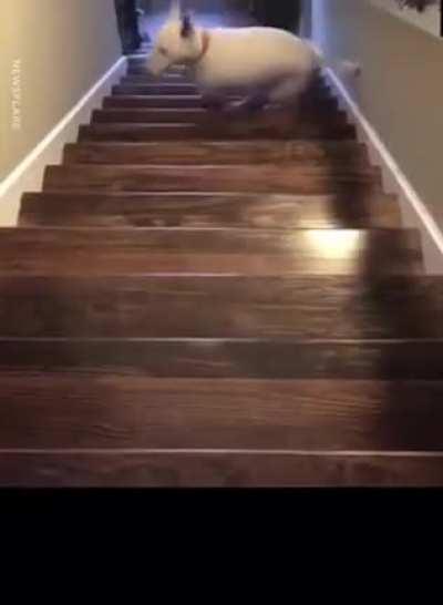 What you doing Tank?