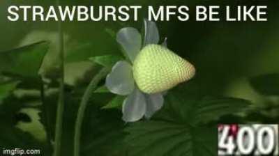 Wen dah strawah iz burrztin!! (liek da canndie butt pvz 😂😂😂)