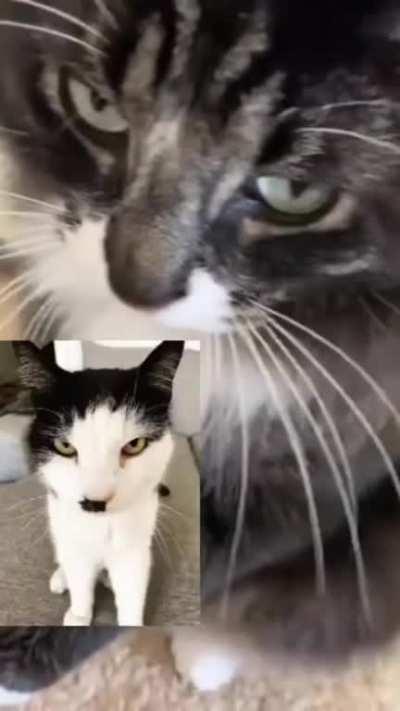 Things have gone too far, it's time