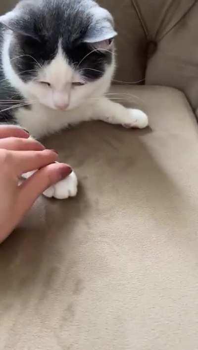 Tax collector training level 2