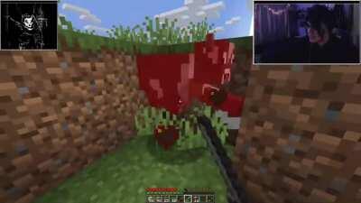 primero necesito sobrevivir