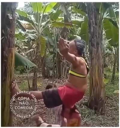 Simplesmente, xaolin do amazonas