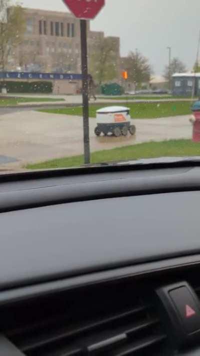 Encountered this polite little fella...