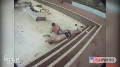 Suitable for vegans or nothing in the plate?