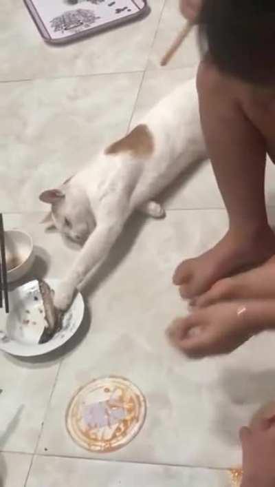 If I just pretend to be asleep...