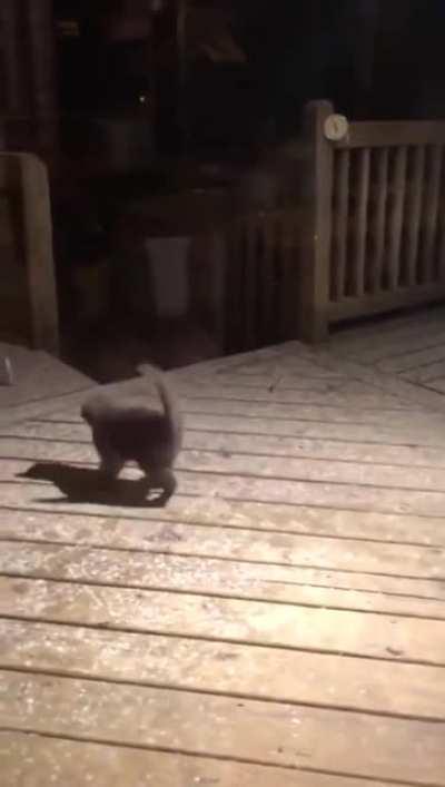 И они будут у меня в животе