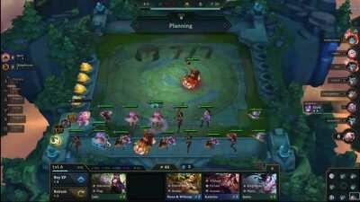 3 teemos on the floor BUG