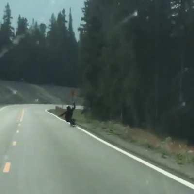 Deer tries to hit skateboarder.