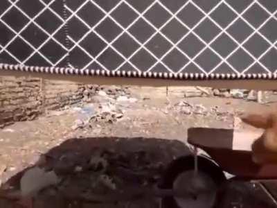 Alguem liga pro newton