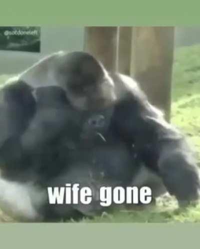 Fuck off wife 😡😡😡