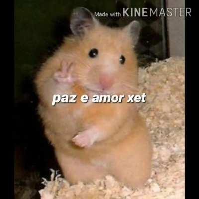 cancelem o kpope manos 😡😡😡