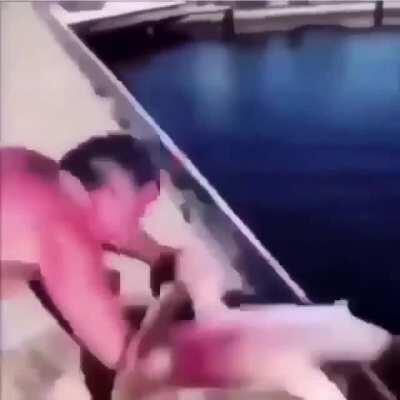 [50/50] Fish says hi to diver (SFW) | Shark bites mans arm and doesn’t let go (NSFW)