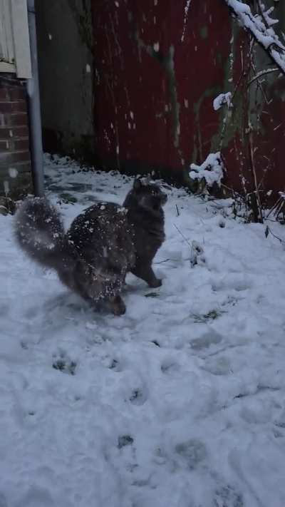 This was Mirin's first time seeing snow. She got so hyped!