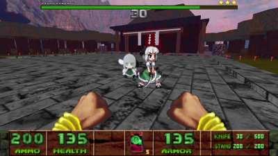 Youmu struggles to kill a Youmu Fumo