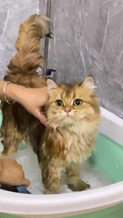 its bath time