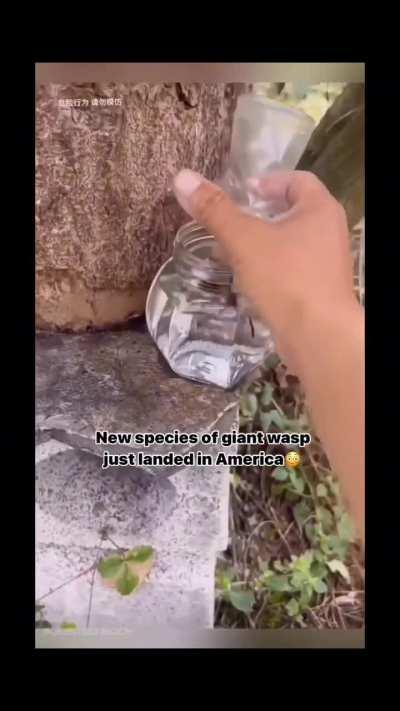 AAAAAAAAAAAH HELL NO