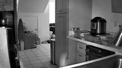 Yes, aluminum foil does wonders for keeping cats away from things.