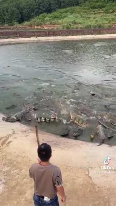 now that everyone’s distracted