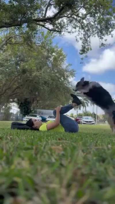 That doggo is SO WICKED SMART