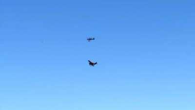 Squirrel, king of the sky