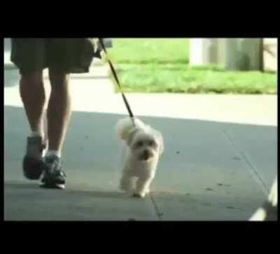 I'm 15 and this is yeet