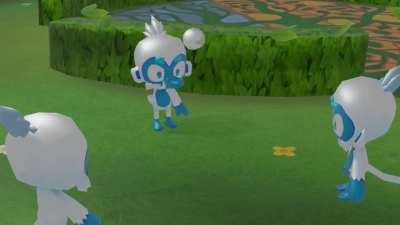 Ice monkeys in their free time: