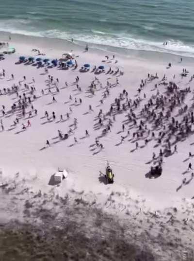 All it took was 1 Drug detecting dog