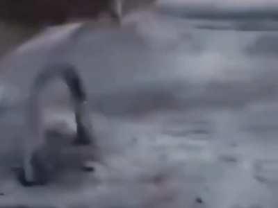 STOP ASKING ABOUT THE SAUCE