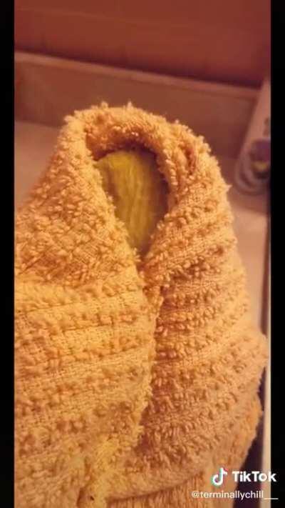 Making mango friends!