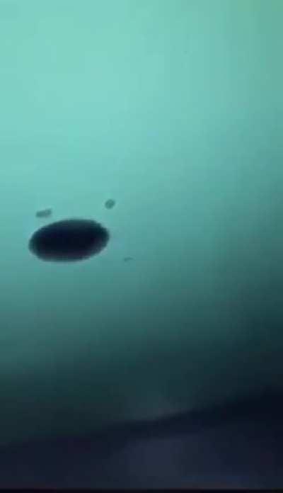 Found a whole, but the wrong one