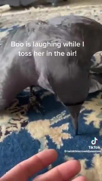 boo