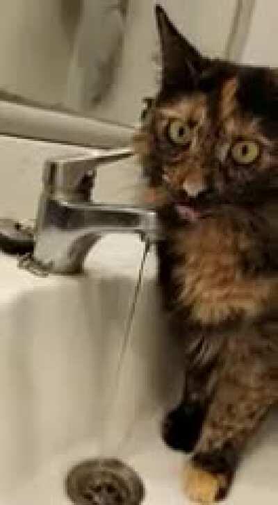 Просто ещё не проснулся