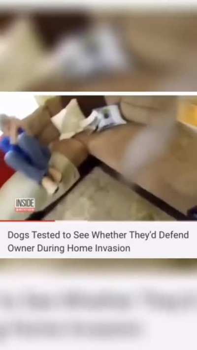 It's either you or me. No hard feelings