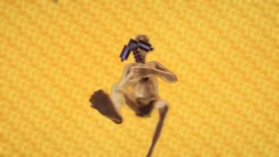 When you press Q by accident..