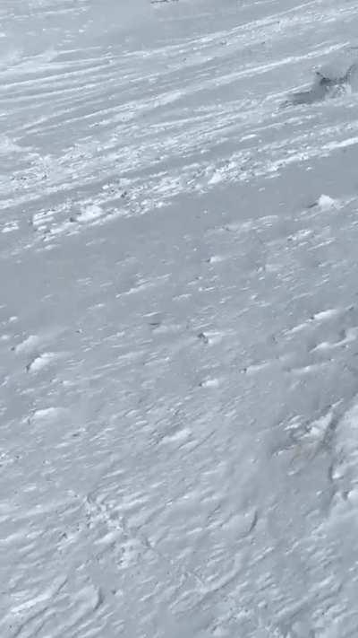 this was his first ever attempt to do a backflip. Filmed this in 2021