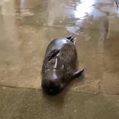 For your slippery needs