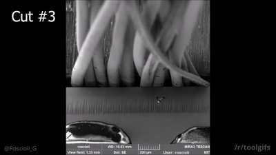 Micromechanical device (designed to fit inside a scanning electron microscope) is used to carry out controlled shaving experiments to test why human hair (50 times softer than steel) chips away a razor edge and dulls it