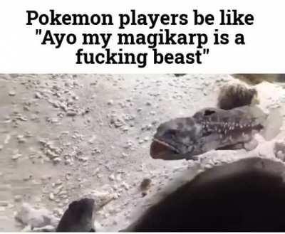 My magikarp only knows to tackle