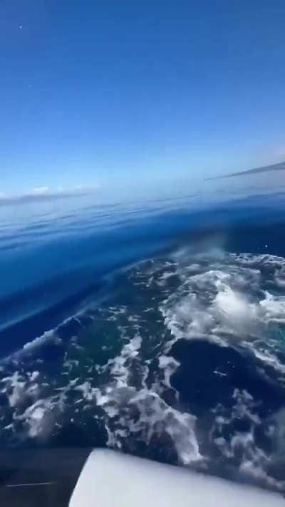 An absolutely magical moment