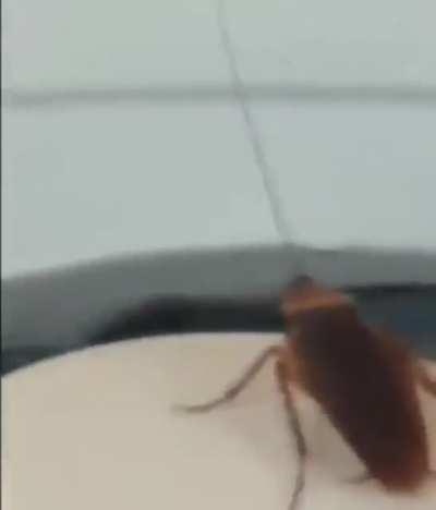 This is what true vibing is