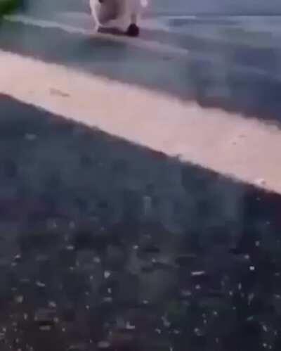 Por si viste algun mal mimi uwu